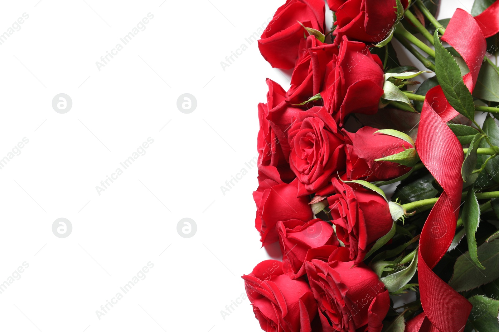 Photo of Beautiful red rose flowers on white background, top view