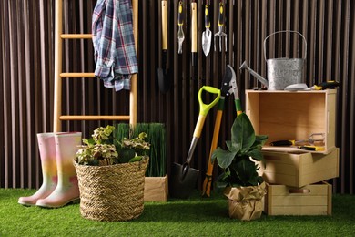 Beautiful plants, gardening tools and accessories on green grass near wood slat wall