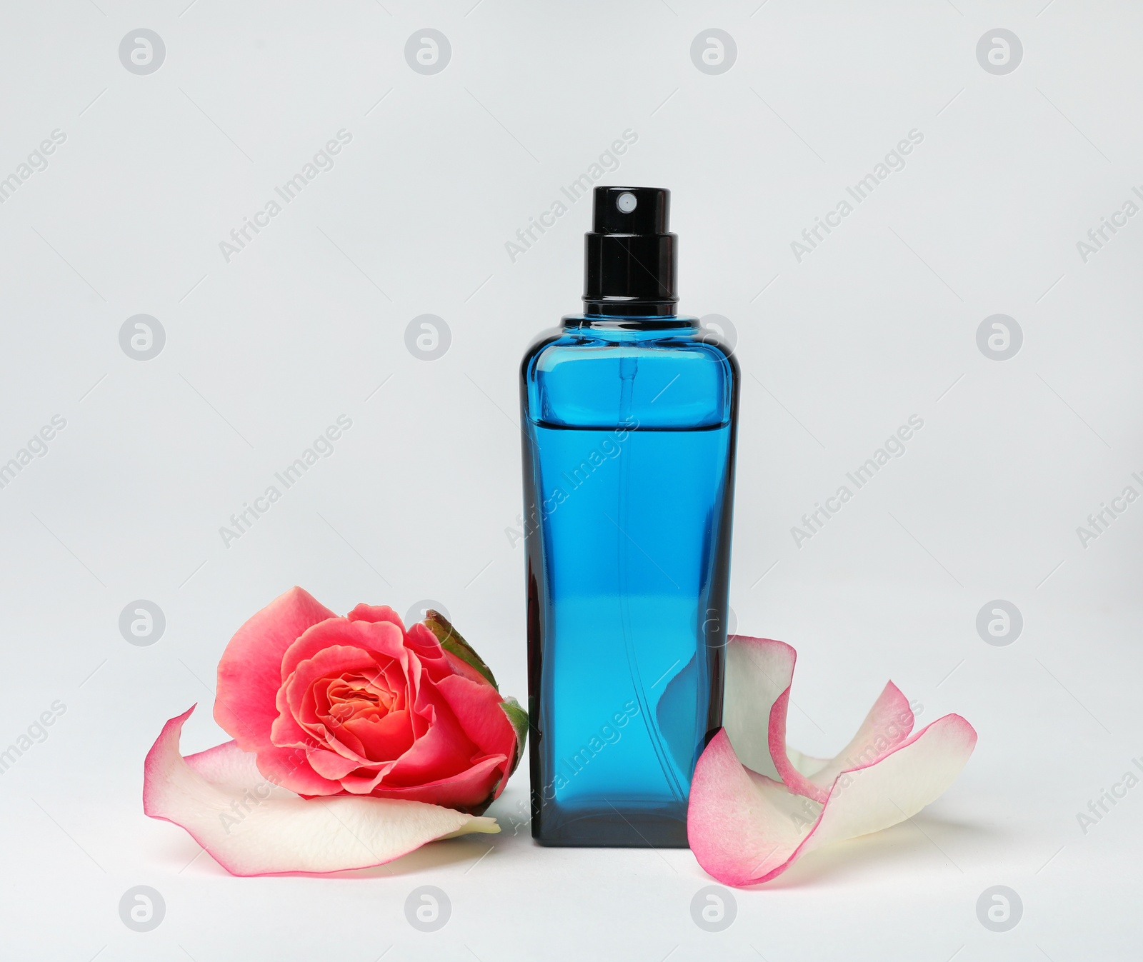 Photo of Transparent bottle of perfume with beautiful flower on white background