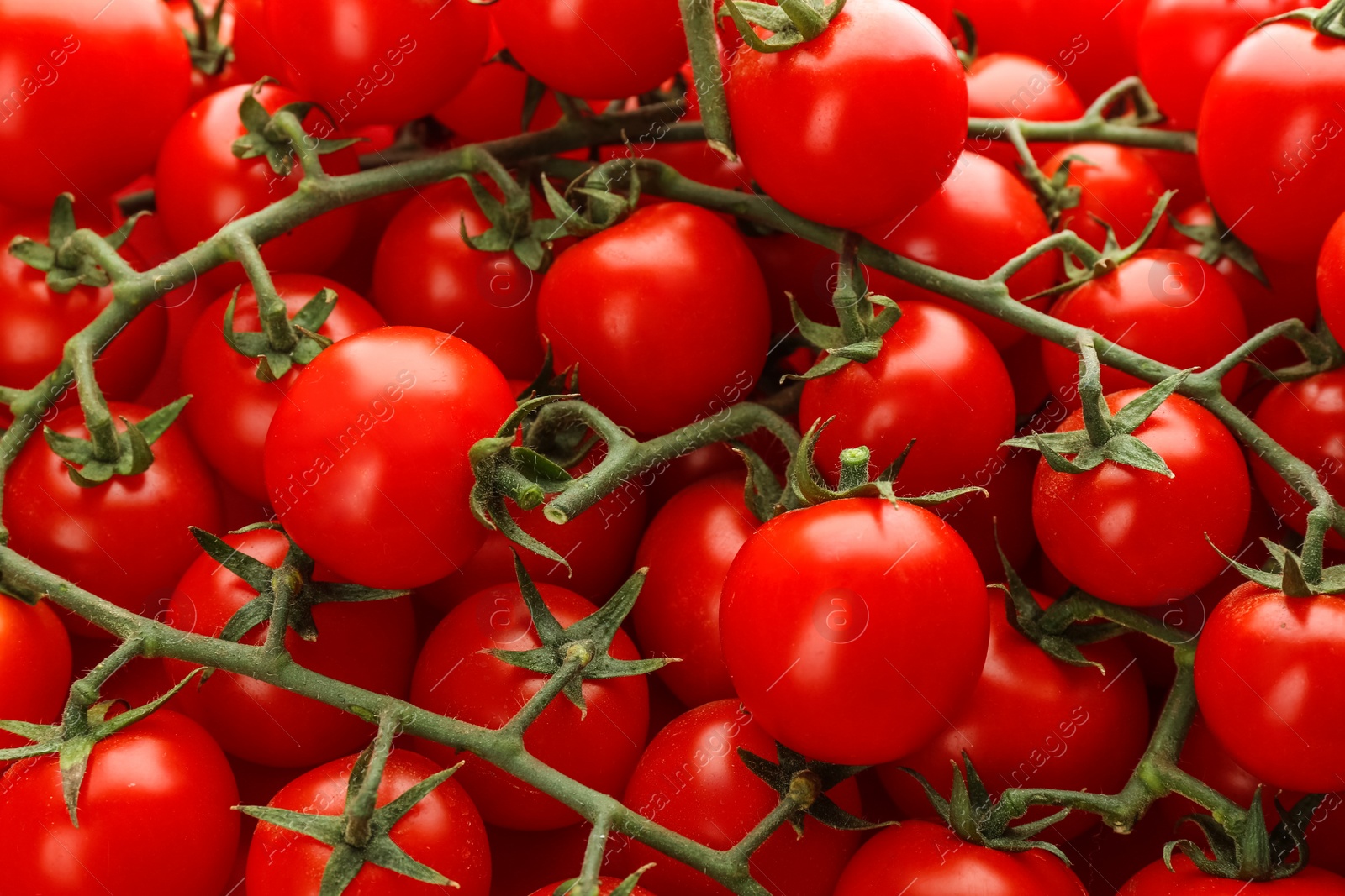 Photo of Fresh ripe cherry tomatoes as background, closeup