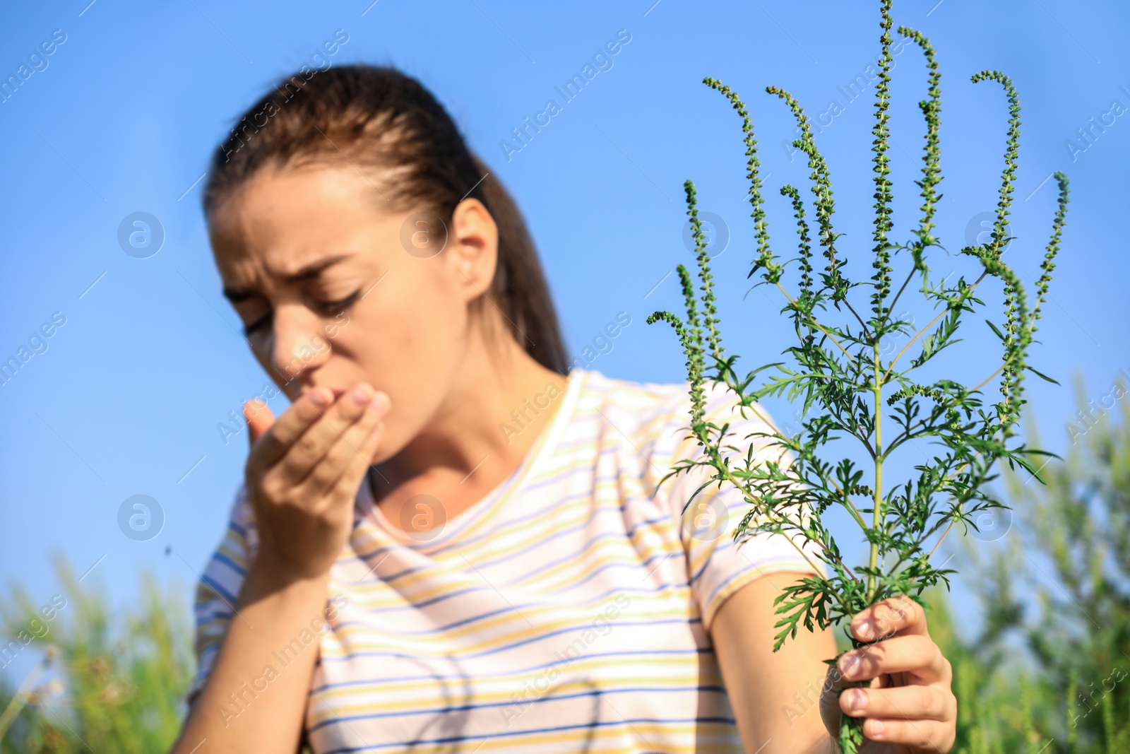 Photo of Young woman with ragweed branch suffering from allergy outdoors, focus on hand