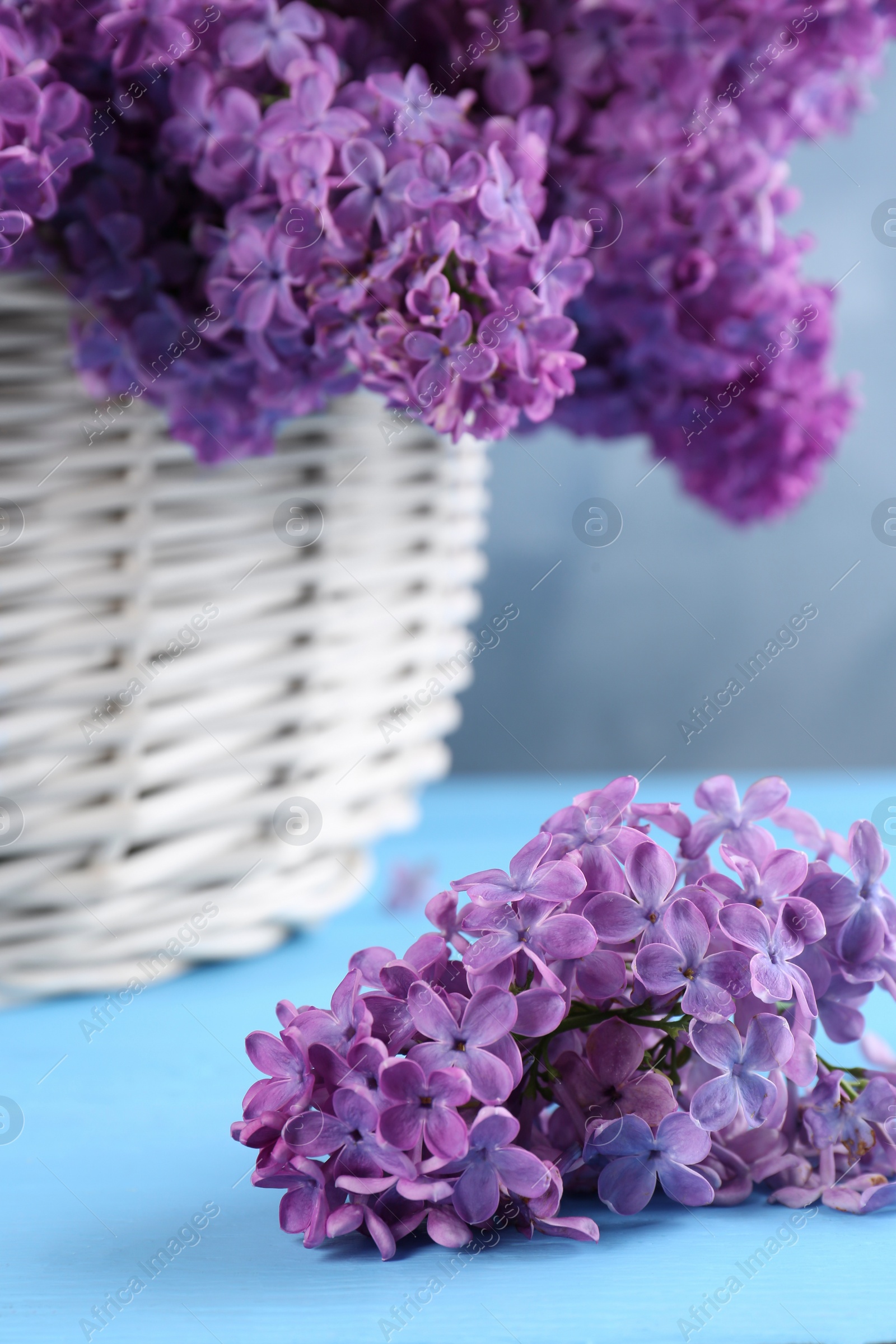 Photo of Beautiful lilac flowers on light blue wooden table, closeup