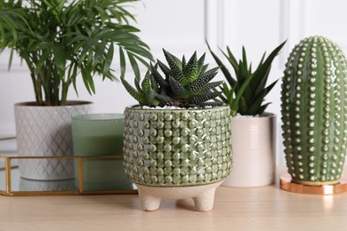 Photo of Beautiful Chamaedorea, Aloe and Haworthia in pots with decor on wooden table, closeup. Different house plants