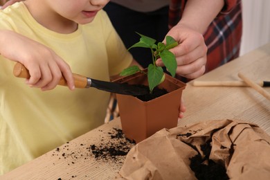 Photo of Mother and daughter planting seedling in pot together at wooden table, closeup