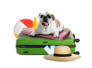 Image of Cute dog, suitcase and summer vacation items on white background. Travelling with pet