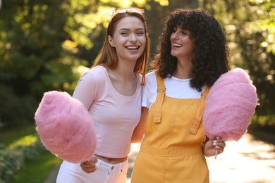 Happy friends with cotton candies spending time together in park on sunny day