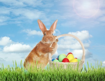 Image of Cute bunny and wicker basket with colorful Easter eggs on green grass outdoors