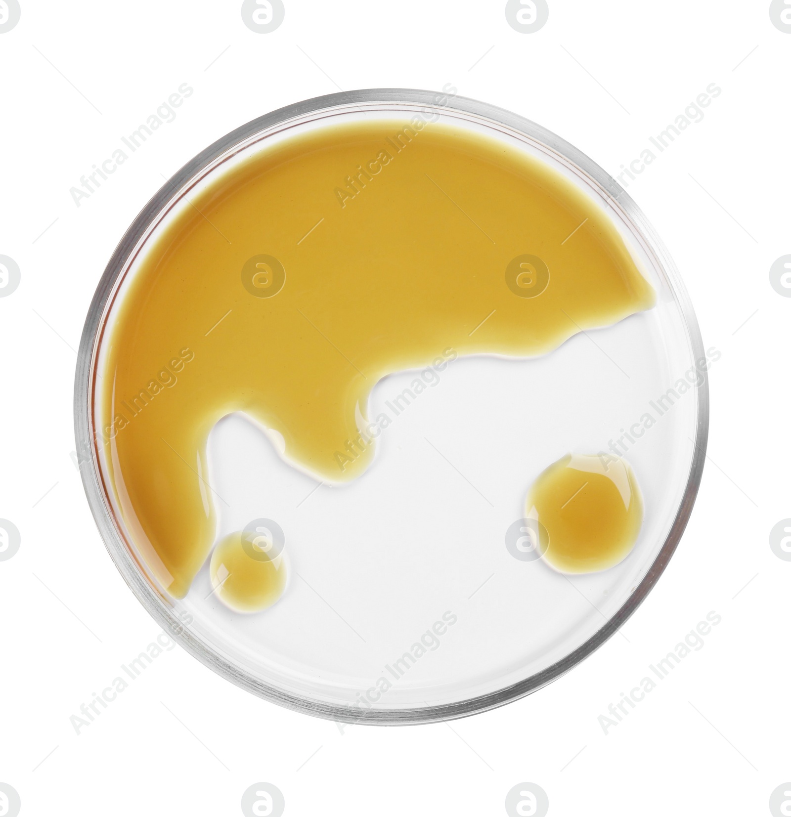 Photo of Petri dish with color liquid sample isolated on white, top view