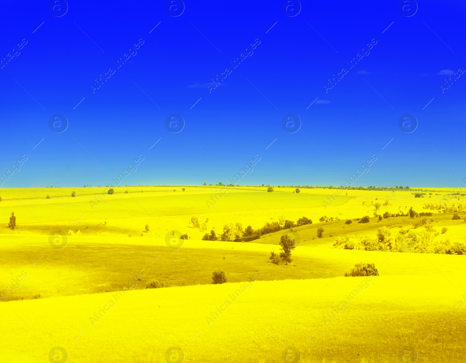 Image of Ukrainian flag. Picturesque view of yellow landscape under blue sky