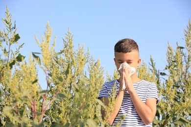 Photo of Little boy suffering from ragweed allergy outdoors