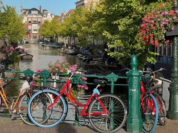 Photo of View of bicycles and beautiful plants near canal on city street