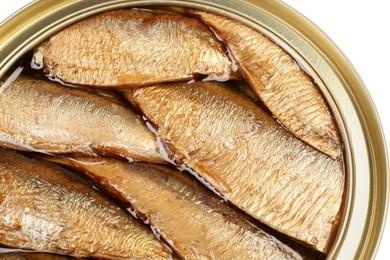 One tin can of sprats isolated on white, top view