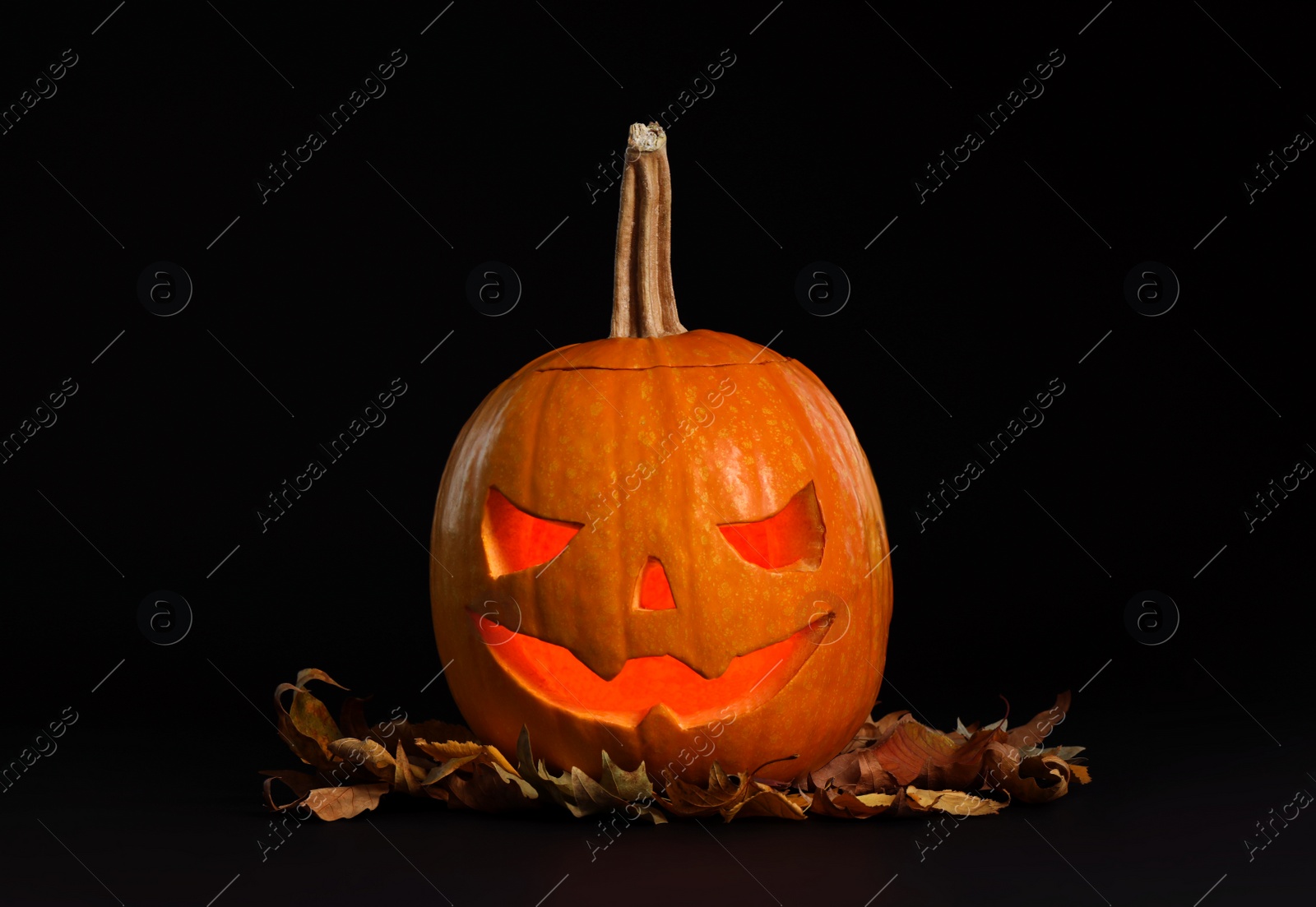 Photo of Pumpkin head with autumn leaves on black background. Jack lantern - traditional Halloween decor