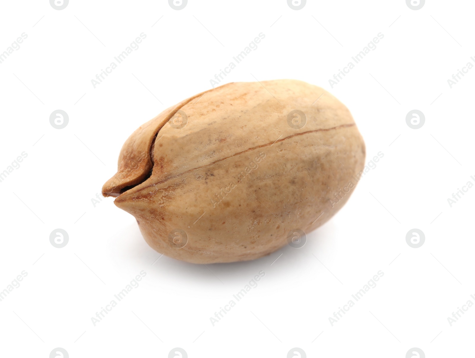 Photo of Pecan nut in shell on white background. Nutritive food