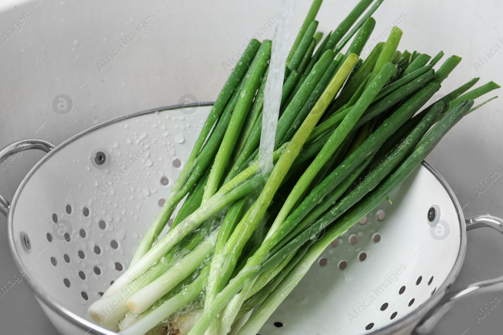 Photo of Washing fresh green onions in kitchen sink