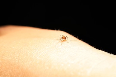 Insect repellent concept. Closeup view of mosquito on skin against black background
