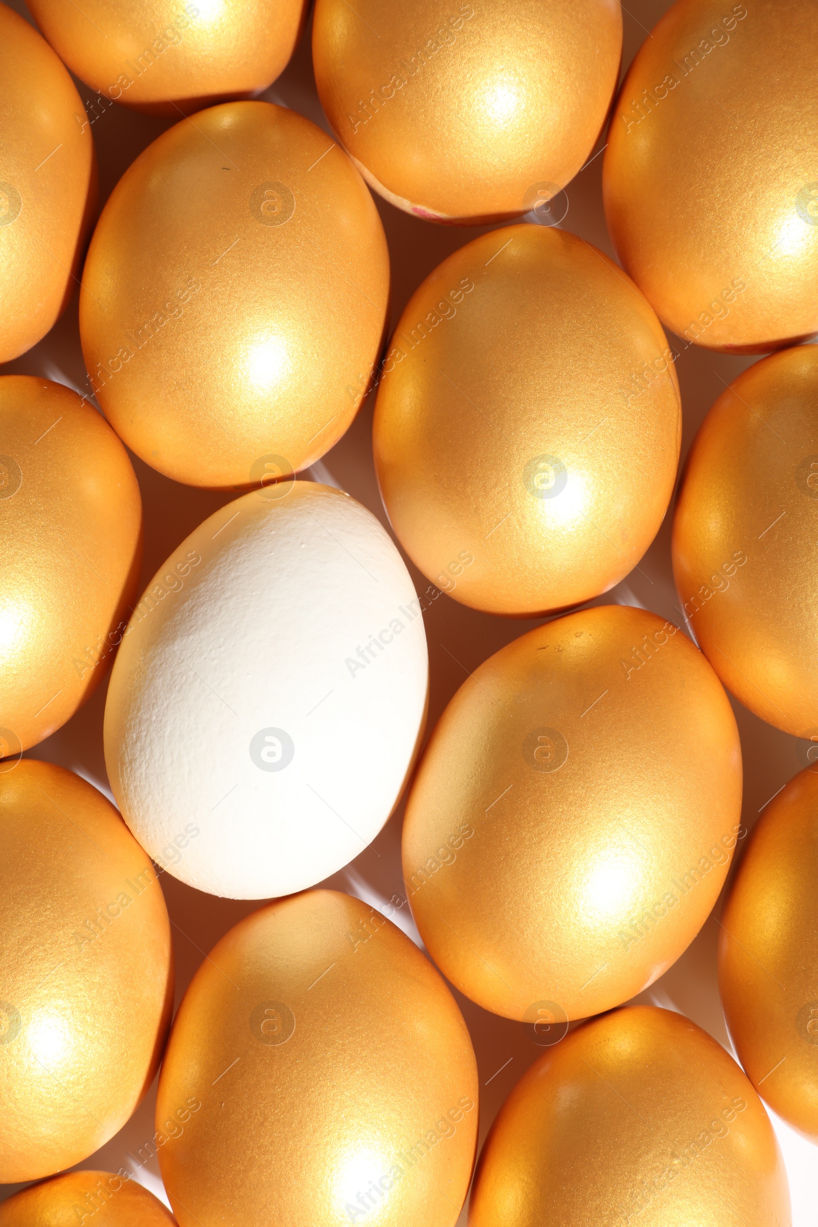 Photo of Ordinary chicken egg among golden ones on white background, top view