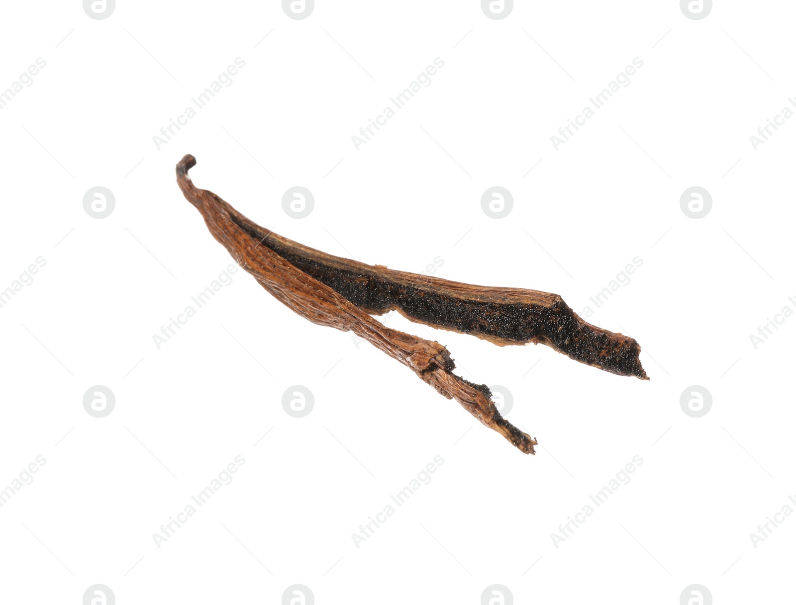 Photo of One aromatic vanilla pod isolated on white