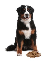 Image of Cute dog and tasty bone shaped cookies on white background
