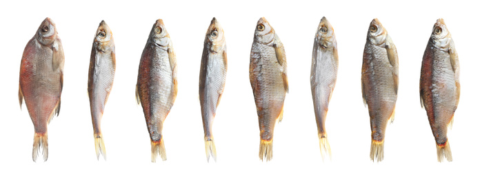 Image of Set of tasty dry fish on white background