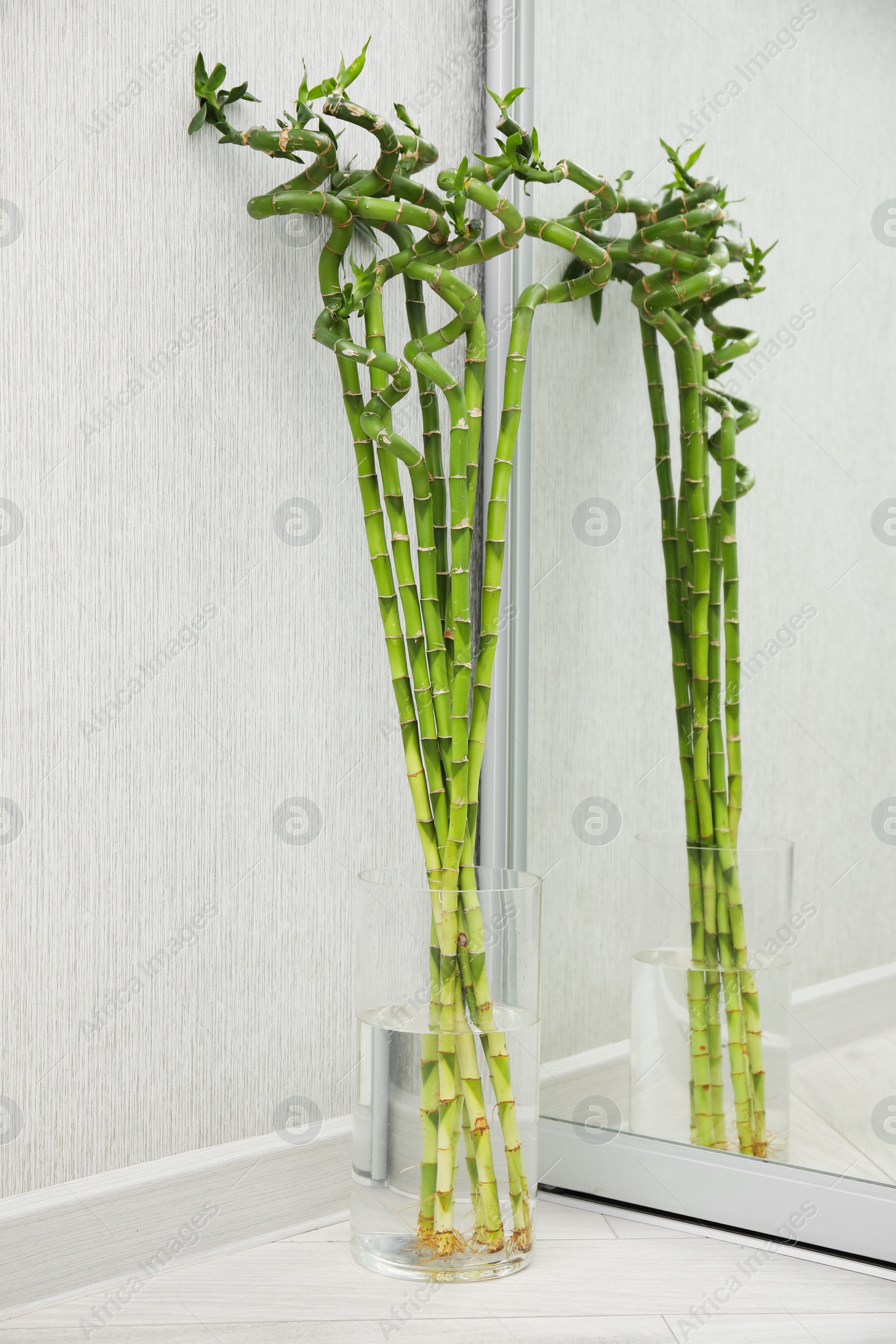 Photo of Vase with beautiful green bamboo stems on floor indoors