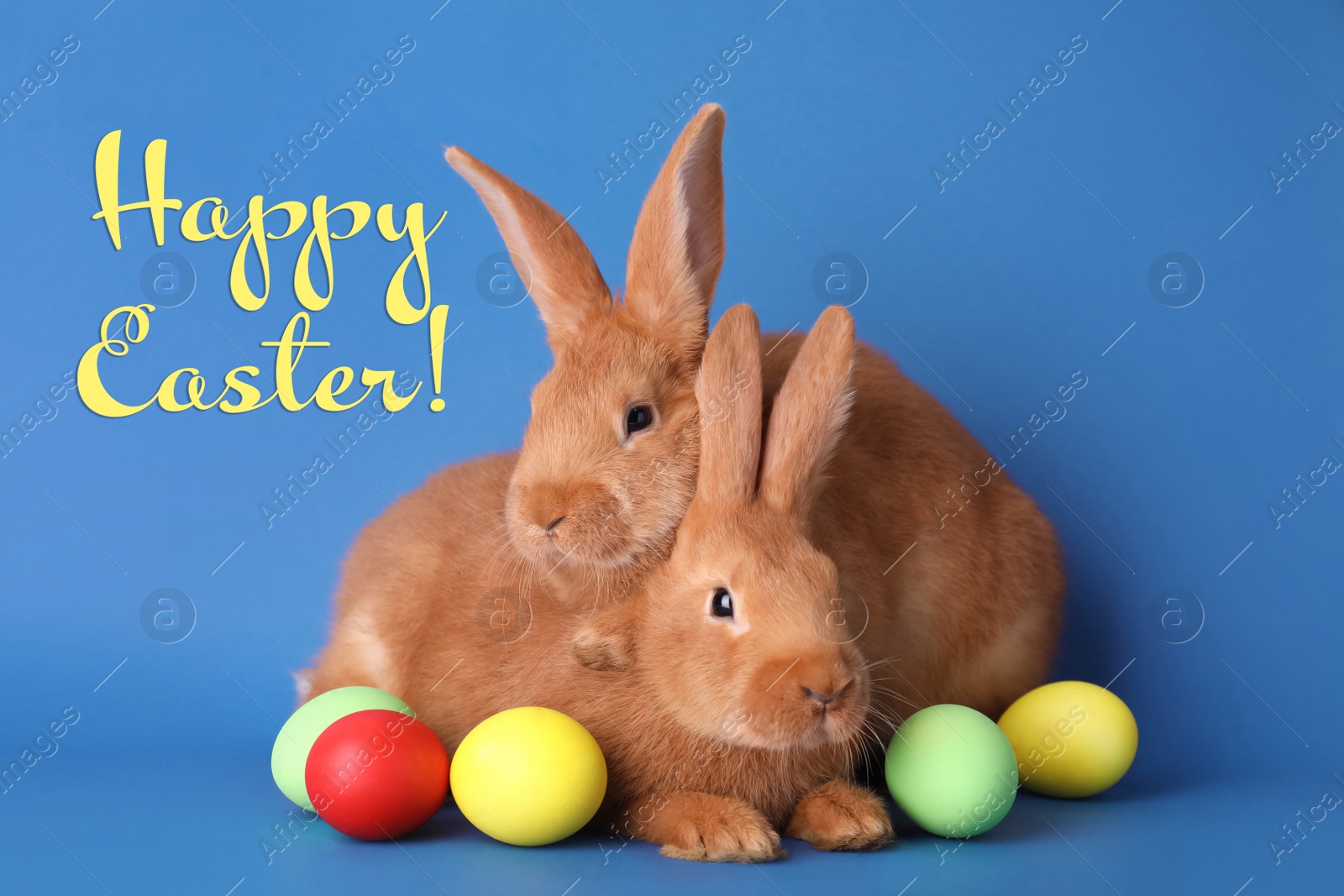 Image of Happy Easter! Cute bunnies and dyed eggs on blue background