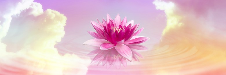 Image of Floating beautiful lotus and reflection of sky with fluffy clouds on water, toned in pastel rainbow colors. Symbolic flower in Buddhism