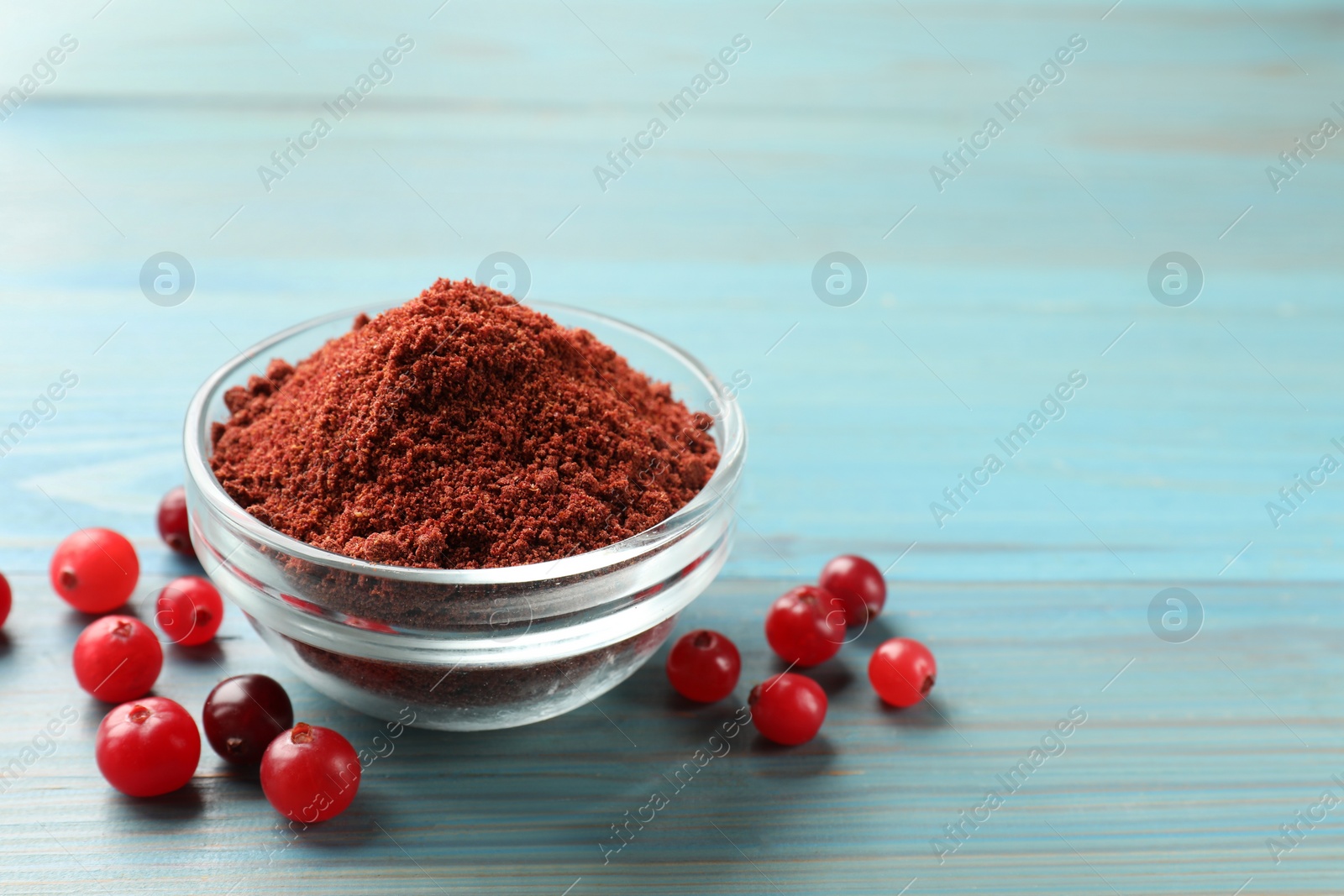 Photo of Cranberry powder in bowl and fresh berries on light blue wooden table, closeup. Space for text