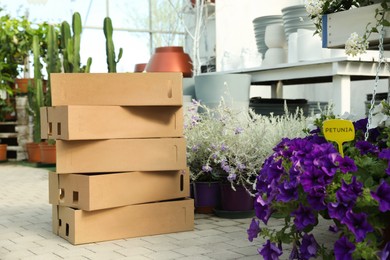 Photo of Stack of cardboard boxes and beautiful blooming plants in garden center