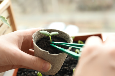 Photo of Woman taking care of seedling indoors, closeup