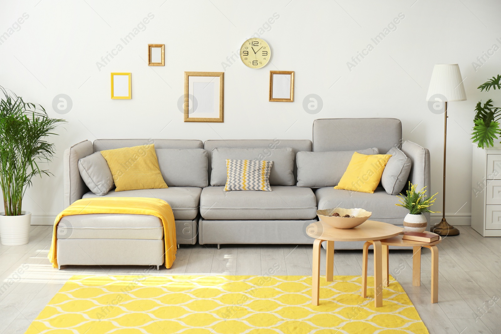 Photo of Stylish living room interior with comfortable grey couch