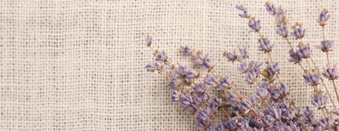 Photo of Beautiful dry lavender flowers on burlap fabric, top view. Space for text