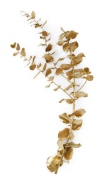 Shiny golden branch with leaves on white background, top view. Decor element