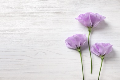 Flat lay composition with beautiful Eustoma flowers on light wooden background