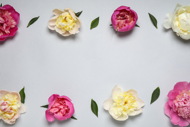 Photo of Beautiful fresh peonies and leaves on light grey background, flat lay. Space for text