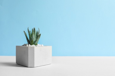 Photo of Beautiful succulent plant in stylish flowerpot on table against blue background, space for text. Home decor