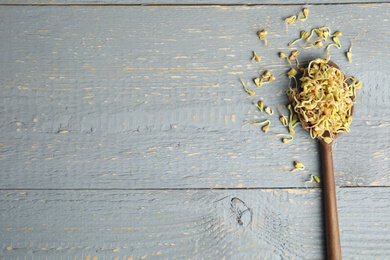 Photo of Spoon with sprouted green buckwheat on grey wooden table, flat lay. Space for text