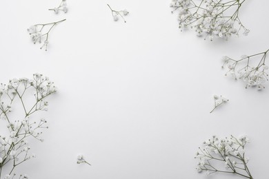 Photo of Beautiful gypsophila flowers on white background, flat lay. Space for text