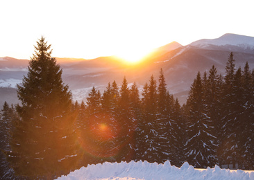 Photo of Beautiful mountain landscape with sunlit forest in winter