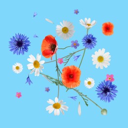Image of Beautiful meadow flowers falling on light blue background