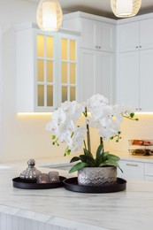 Photo of Beautiful orchid flowers on white marble table in kitchen. Luxury interior
