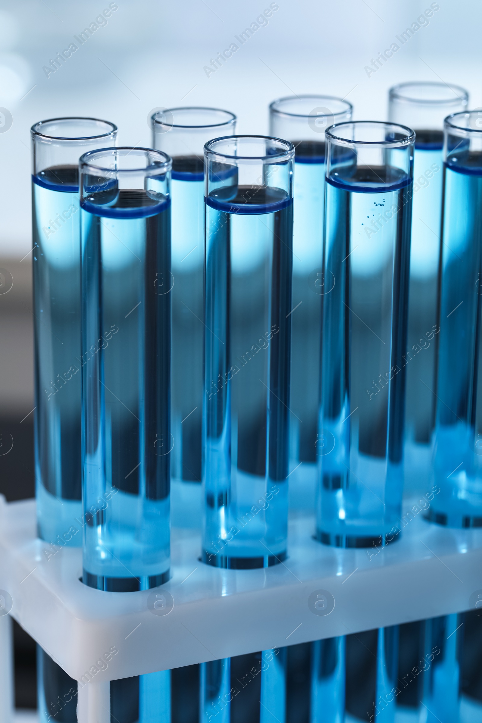 Photo of Test tubes with reagents in rack, closeup. Laboratory analysis