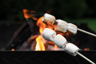 Photo of Delicious puffy marshmallows roasting over bonfire, closeup. Space for text