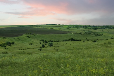 Photo of Beautiful landscape with green grass on sunny day