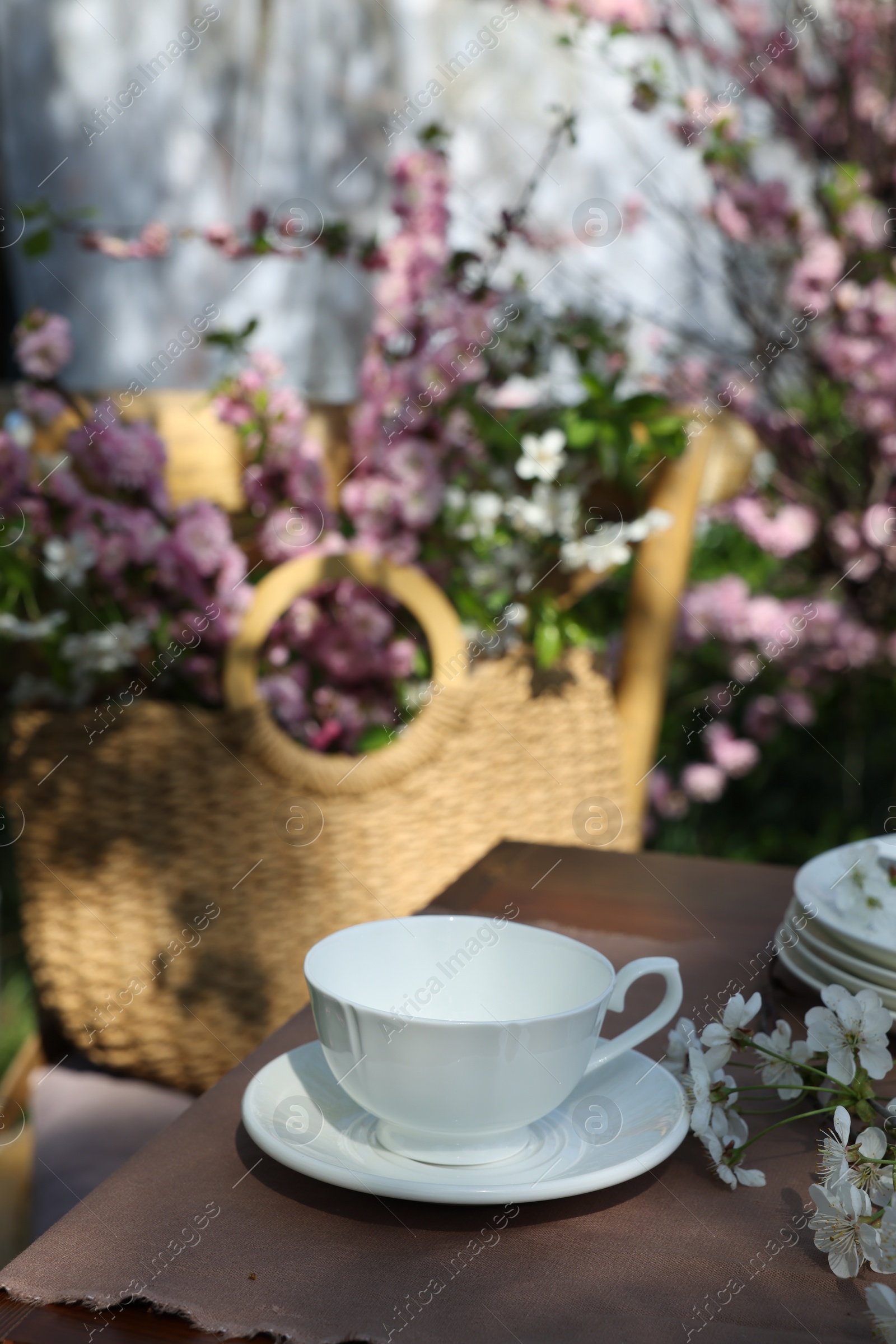 Beautiful spring flowers on table served for tea drinking in garden, closeup Photo of Beautiful spring flowers on table served for tea drinking in garden, closeup