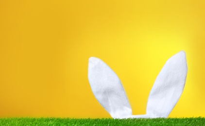 Photo of Funny Easter bunny ears and green lawn against color background, space for text