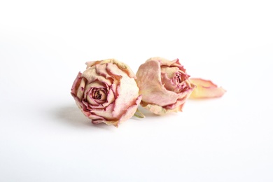 Beautiful dry rose flowers on white background