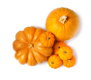 Photo of Fresh ripe pumpkins on white background, top view