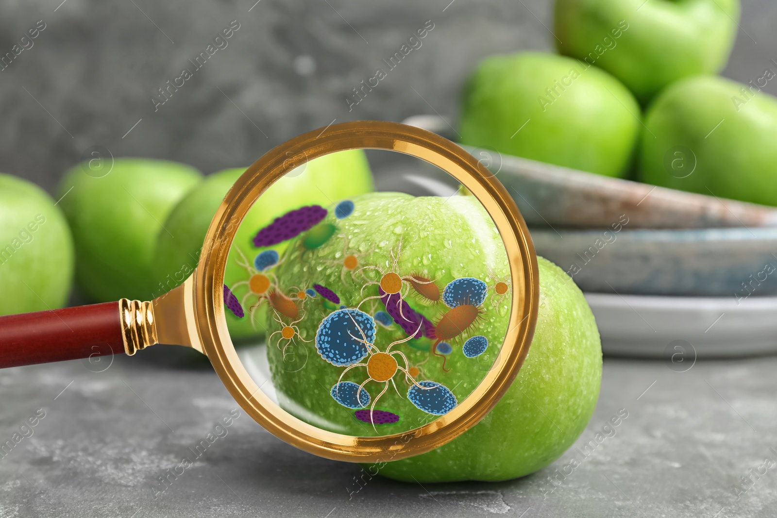 Image of Magnifying glass and illustration of microbes on apple. Food poisoning concept  