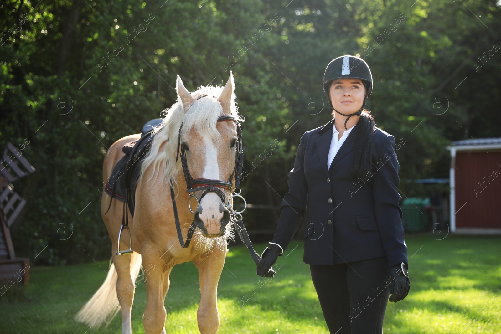 Photo of Young woman in horse riding suit and her beautiful pet outdoors on sunny day